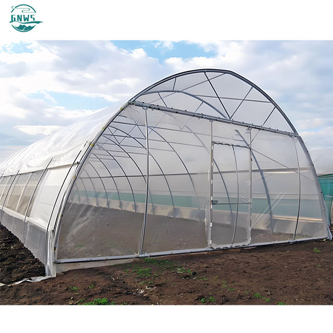 Galvanized Steel Low Cost Tunnel Frame Single Span Pe Film Greenhouse Greenhouse Agricole For Flowers Plant Private Label Manufacturing Bulk Orders
