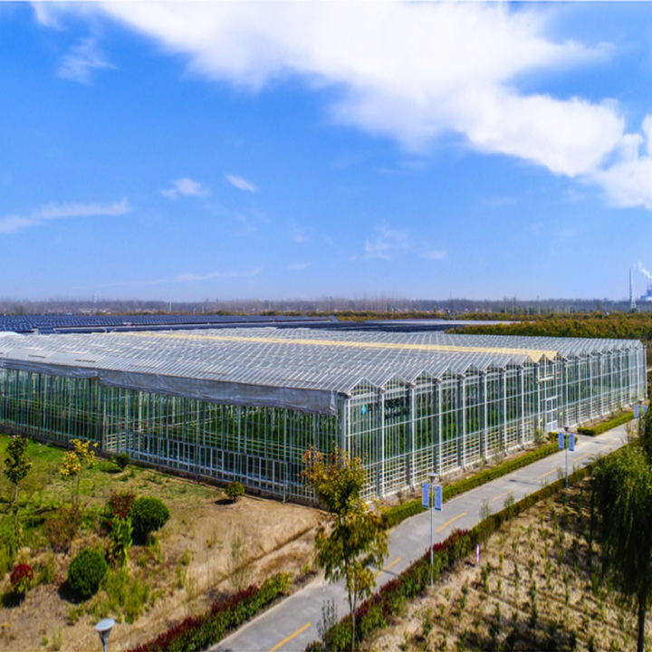 Garden Outdoor Backyard Solar Photovoltaic Glass Roof Pool House Glazed Sliding Sunroom Conservatory Greenhouse Affordable Factory Pricing Supply