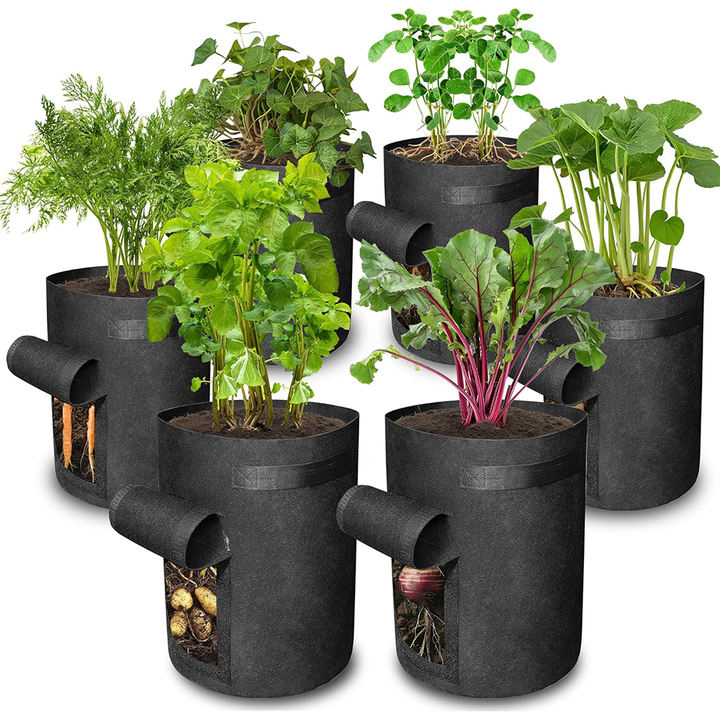 Garden plant mango felt potato grow bag black fabric pot for organic flower mushroom tomato 10 45 50 100 200 gallon Export Manufacturing Operations