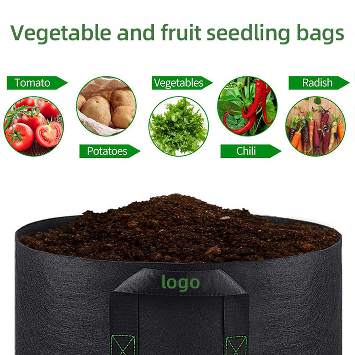 Garden plant mango felt potato grow bag black fabric pot for organic flower mushroom tomato 10 45 50 100 200 gallon Export Manufacturing Operations