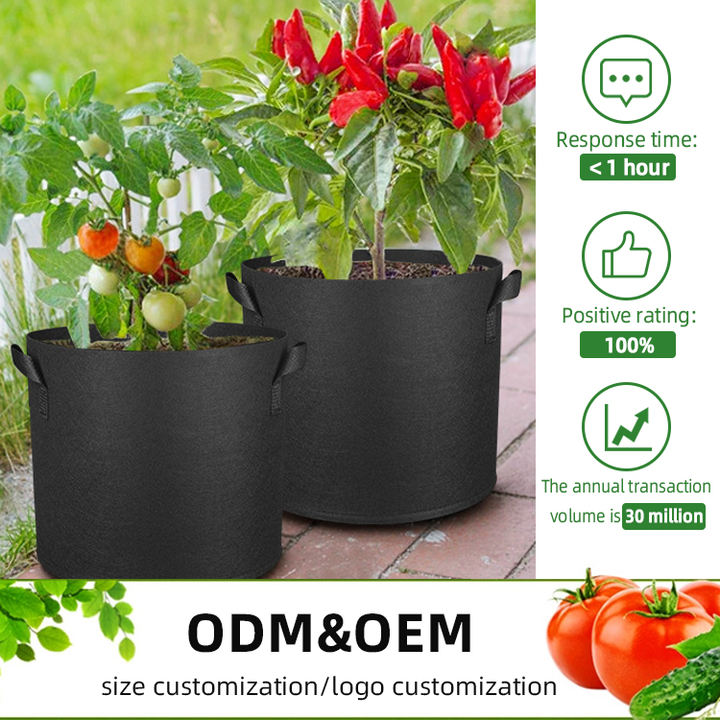 Garden plant mango felt potato grow bag black fabric pot for organic flower mushroom tomato 10 45 50 100 200 gallon Export Manufacturing Operations