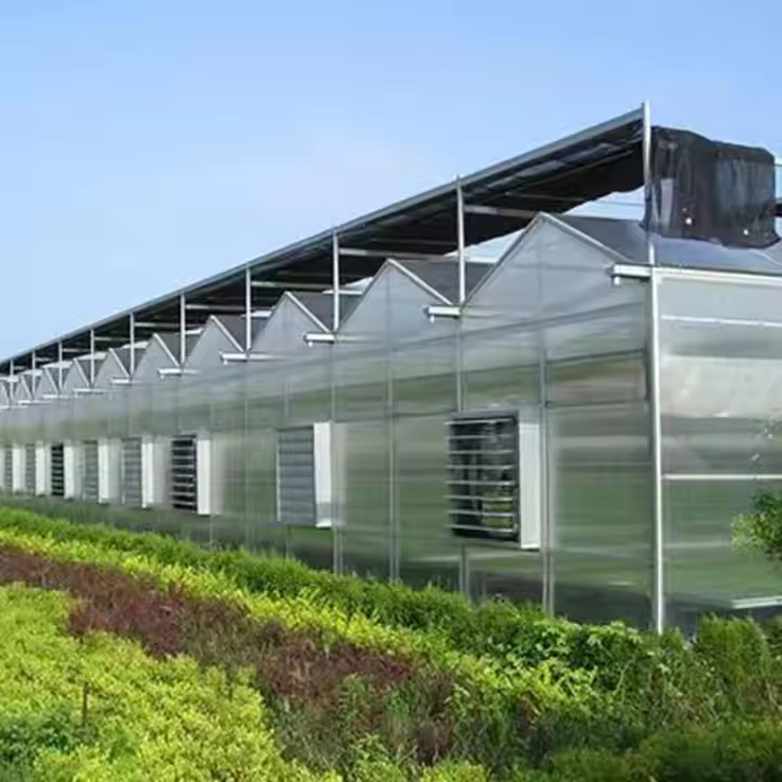 Glass farming greenhouse Multi-Span Commercial pc sheet Greenhouses Prefab green house overall system Glass Greenhouse