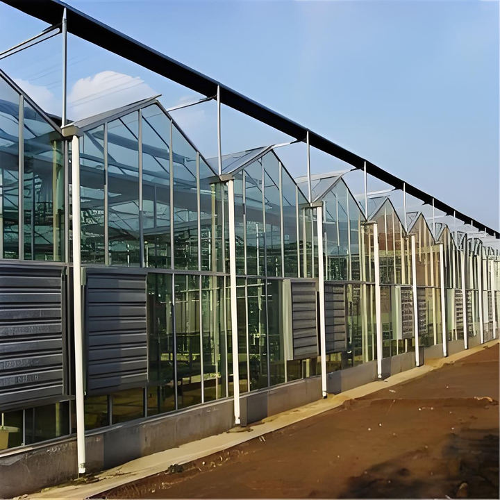 Glass farming greenhouse Multi-Span Commercial pc sheet Greenhouses Prefab green house overall system Glass Greenhouse