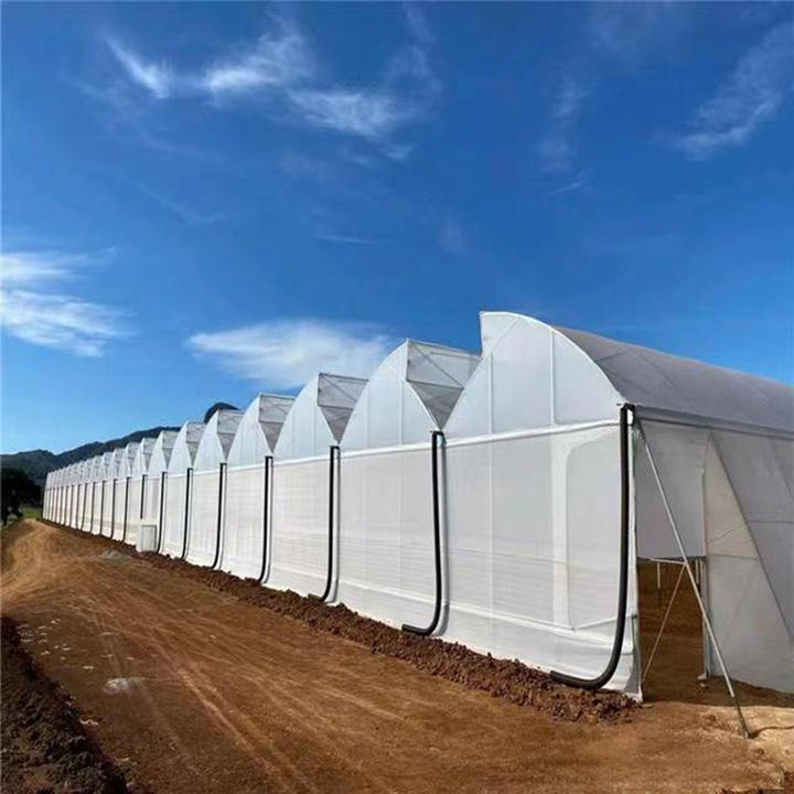 Good Quality And Easily Installed Grow tent complete kit tunnel Agricultural/Commercial Green House tomato Greenhouse