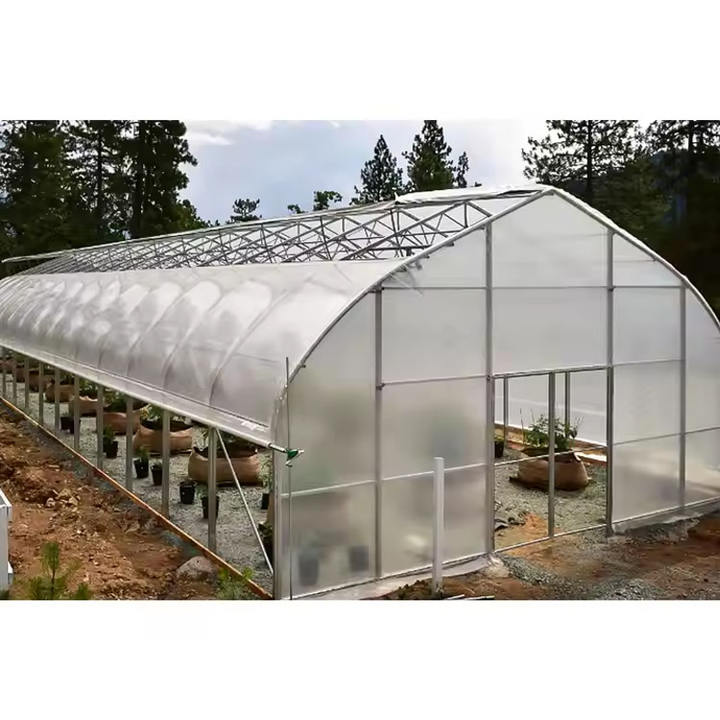 Good Quality And Easily Installed Vegetables growing hoop house single span agricultural greenhouse for sale