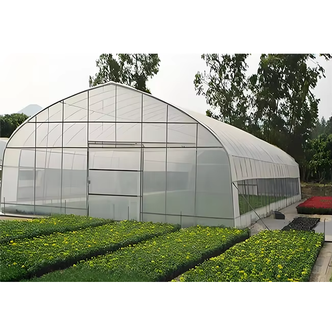 Good Quality And Easily Installed Vegetables growing hoop house single span agricultural greenhouse for sale