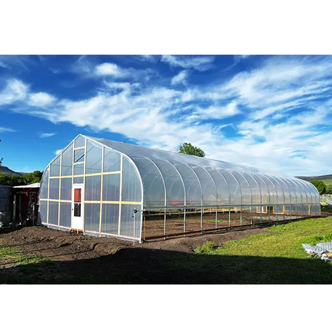 Good Quality And Easily Installed Vegetables growing hoop house single span agricultural greenhouse for sale