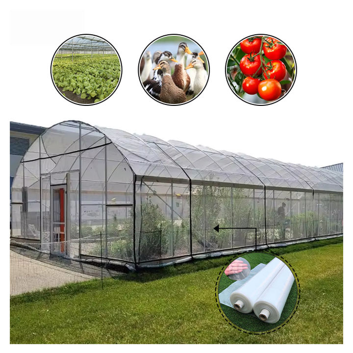 Greenhouse Arches Film Single Span Tunnel Greenhouse With Low Price With Sunshade net  Agricultural Green Houses Factory Wholesale Custom Solutions