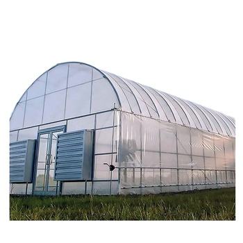 Greenhouse arches film single span tunnel greenhouse plastic shed for vegetables US single span greenhouse China Industrial Supplier