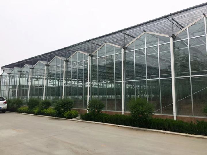 Greenhouse kyard Photovoltaic Solar Glass Greenhouses Garden Green House Outdoor Rainproof Plant Cover