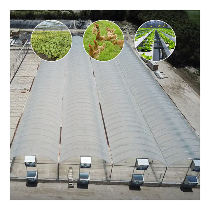 Greenhouses Suppliers Tomato Multispan Chineese Greenhouse Plastico Invernadero Agriculture Greenhouse Fram