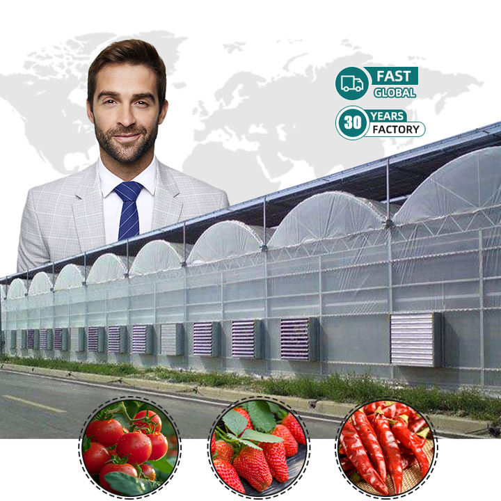 Greenhouses Suppliers Tomato Multispan Chineese Greenhouse Plastico Invernadero Agriculture Greenhouse Fram