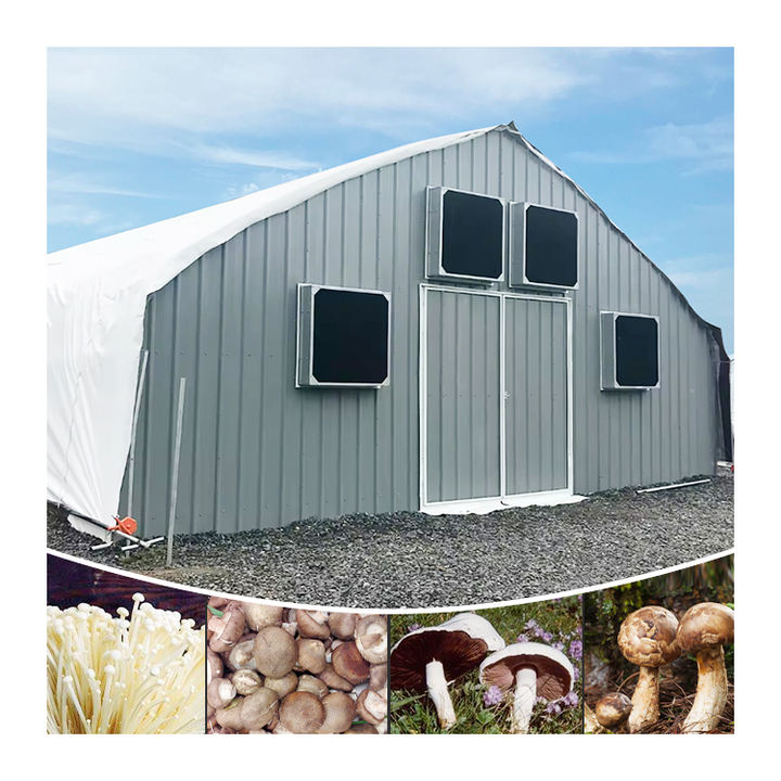 Grow tent complete kit tunnel commercial hoop Gothic greenhouse hoop plastic film Single-span Pe agricultural tomato greenhouses Quality Manufacturing Innovation