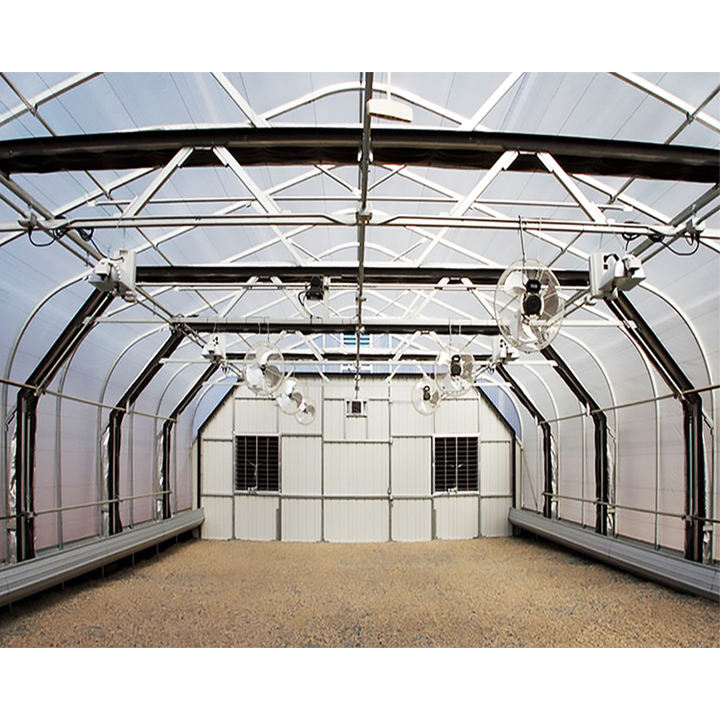 Grow tent complete kit tunnel commercial hoop Gothic greenhouse hoop plastic film Single-span Pe agricultural tomato greenhouses Quality Manufacturing Innovation