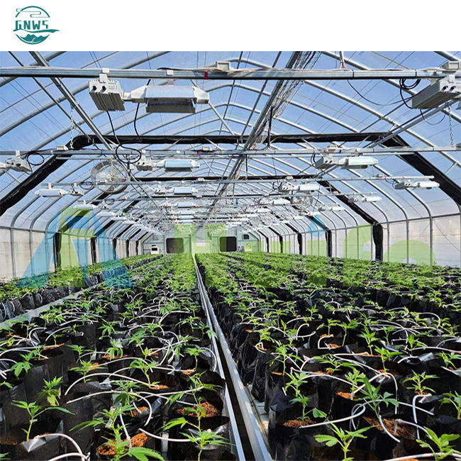 Grow tent complete kit tunnel commercial hoop Gothic greenhouse hoop plastic film Single-span Pe agricultural tomato greenhouses Quality Manufacturing Innovation