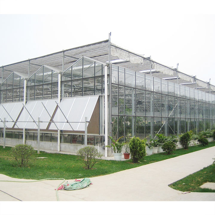 High Quality Agricultural Multi-span Hydroponic Greenhouse Farming Large Glass Greenhouse Tomato Glasshouse For Sale Bulk Wholesale