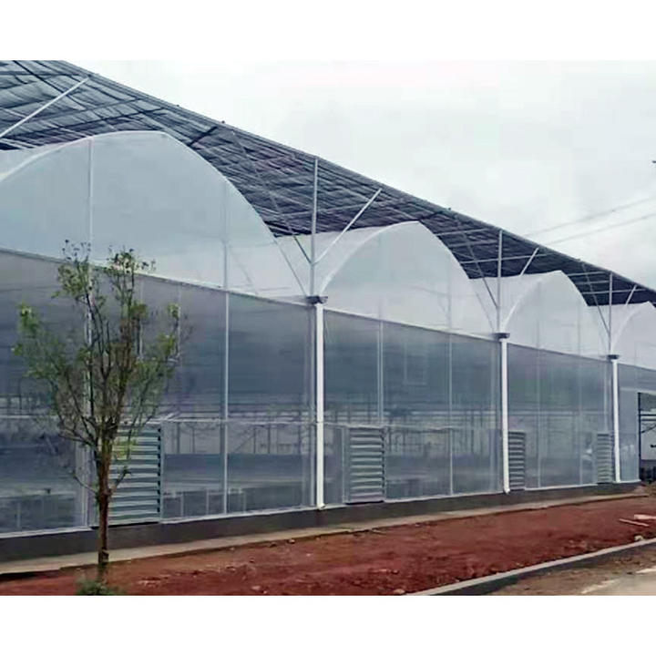 High Strength Commercial Agricultural Poly Arch Green House Tomato Plastic Film Greenhouse For Sale Large Volume Factory