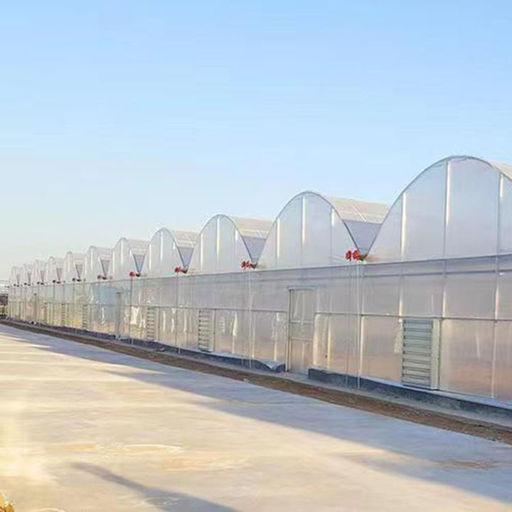 High Strength Commercial Agricultural Poly Arch Green House Tomato Plastic Film Greenhouse For Sale Large Volume Factory