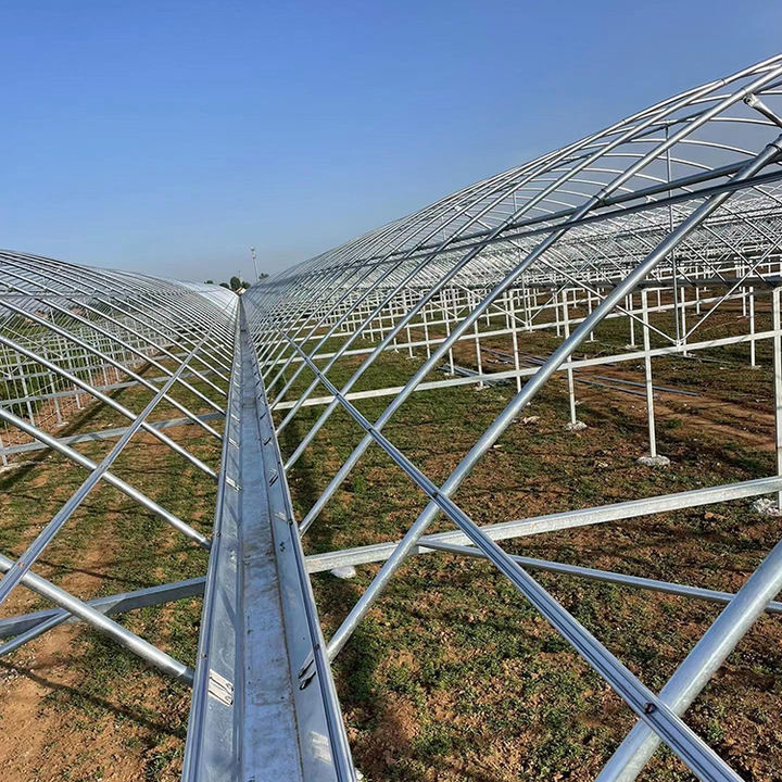 High Strength Commercial Agricultural Poly Arch Green House Tomato Plastic Film Greenhouse For Sale Large Volume Factory