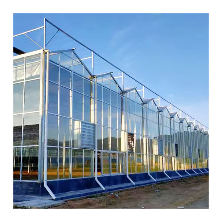 High Temperature Zone Green House Metal Frame Agriculture Greenhouse 500 Square Meters Single Layer Agricultural Greenhouses Bulk Purchase Discounts
