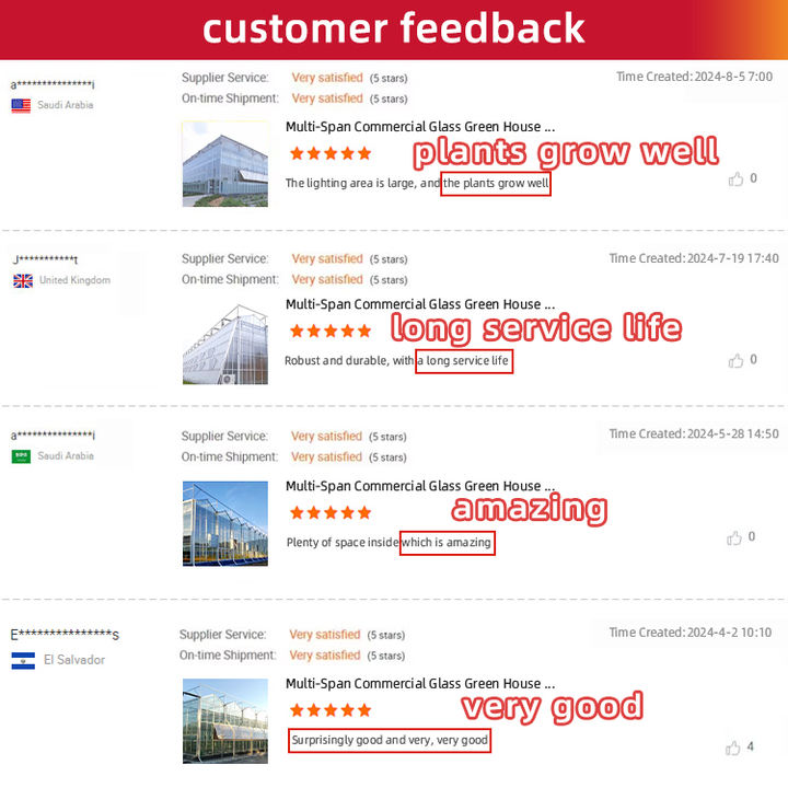 High Temperature Zone Green House Metal Frame Agriculture Greenhouse 500 Square Meters Single Layer Agricultural Greenhouses Bulk Purchase Discounts