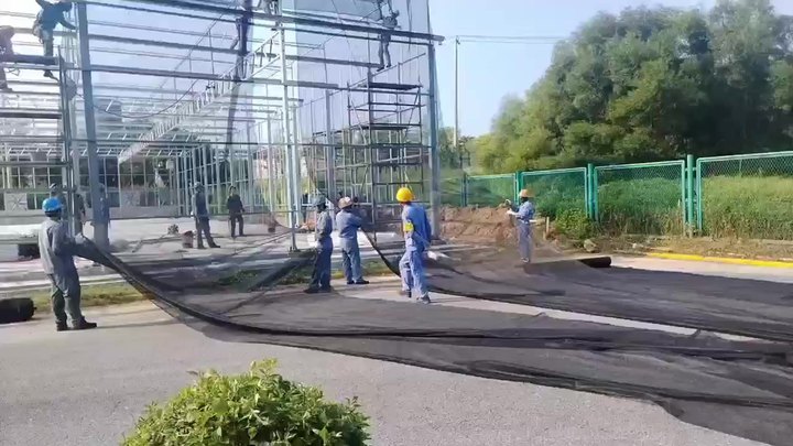 High Tunnel Agriculture Solar Film Single Span Pe Greenhouses Dome Greenhouse For Agriculture Low Cost Tunnel Greenhouse China Bulk Supplier Customization
