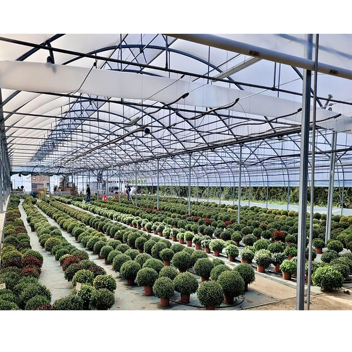High Tunnel Agriculture Solar Film Single Span Pe Greenhouses Dome Greenhouse For Agriculture Low Cost Tunnel Greenhouse China Bulk Supplier Customization