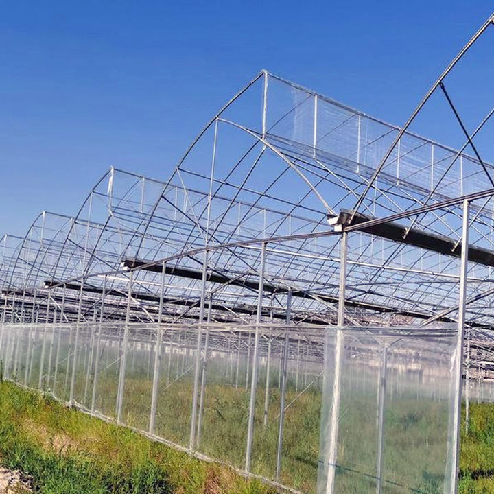 High Tunnel Agriculture Solar Film Single Span Pe Greenhouses Dome Greenhouse For Agriculture Low Cost Tunnel Greenhouse China Bulk Supplier Customization