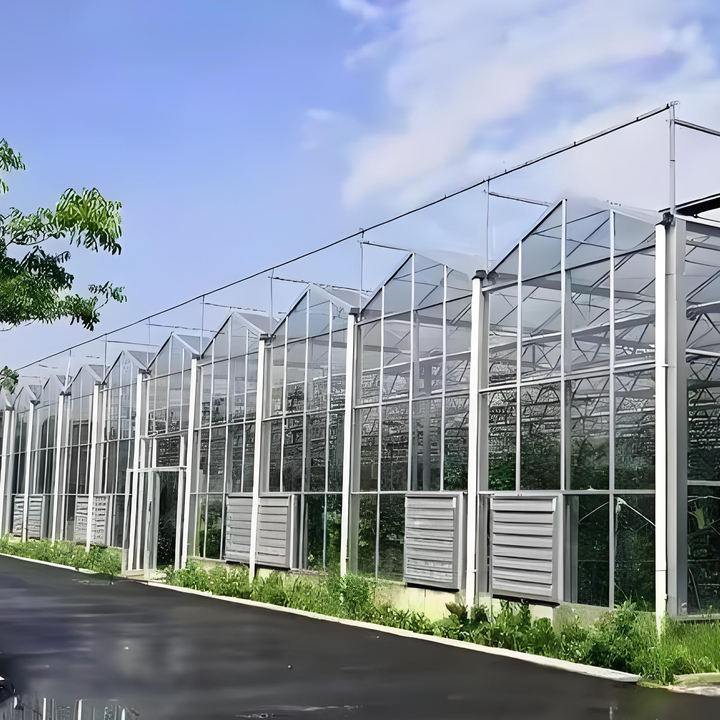 Hot Sale Multi Span Turnkey Project Agricultural Tomato Hydroponics invernadero glass greenhouse for vegetable planting