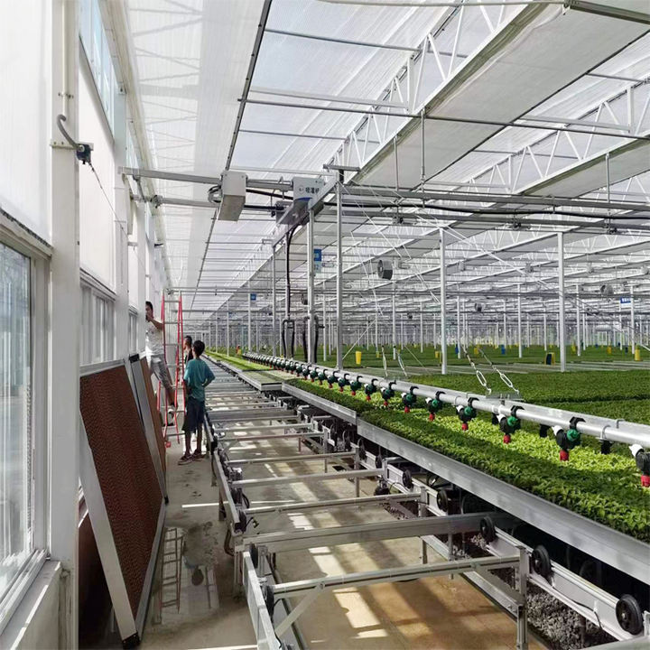 Hot Sale Multi Span Turnkey Project Agricultural Tomato Hydroponics invernadero glass greenhouse for vegetable planting