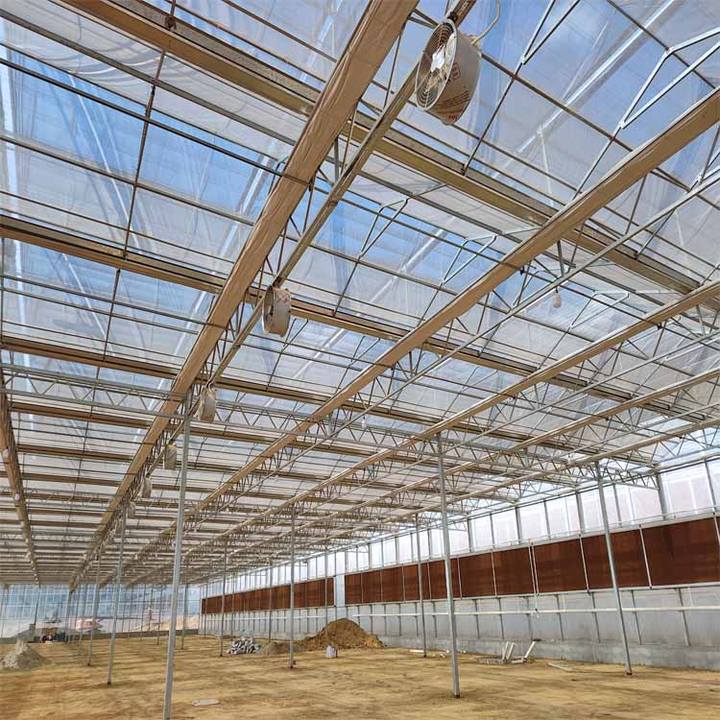 Hot Sale Multi Span Turnkey Project Agricultural Tomato Hydroponics invernadero glass greenhouse for vegetable planting