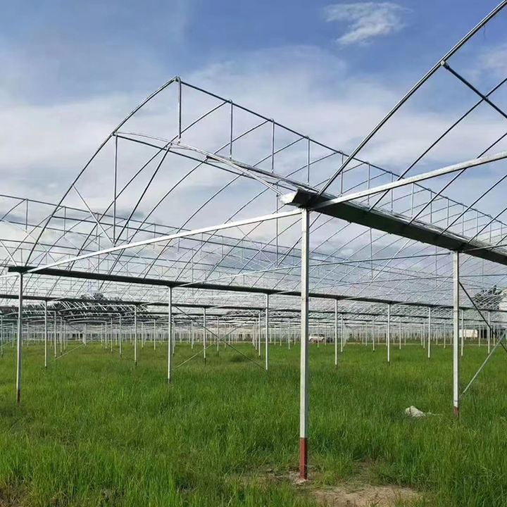 Hot-selling Multi span greenhouse agriculture polycarbonate green house greenhouse for strawberry grape raspberry