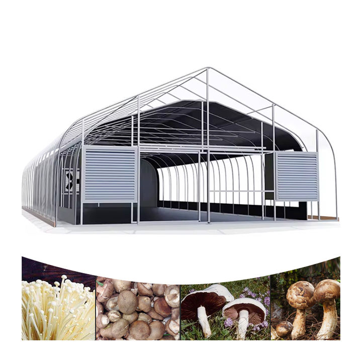 Invernadero de dientes de sierra tropical are low cost single span plastic film tropical cross top sawtooth greenhouse Factory Direct Sales