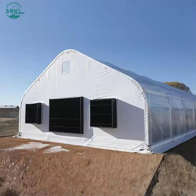 Invernadero de dientes de sierra tropical are low cost single span plastic film tropical cross top sawtooth greenhouse Factory Direct Sales
