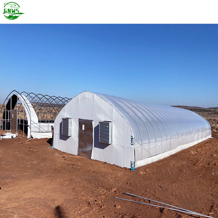 Invernadero de dientes de sierra tropical are low cost single span plastic film tropical cross top sawtooth greenhouse Factory Direct Sales