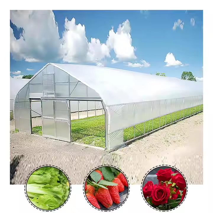 Low Cost Tunnel Greenhouse Galvanized Steel Frame Single Span Pe Film Greenhouse For Agriculture Flowers Plant Factory Wholesale Custom Solutions