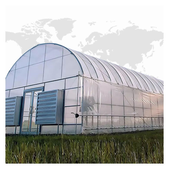 Low Cost Tunnel Small tomato Greenhouse Commercial Green Houses Film Polytunnel Agriculture  Greenhouse  Frame Product Sourcing
