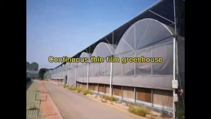 Manufactures Plastic Polytunnel Tomato Green house multi span Film Agriculture Low Cost Tunnel Greenhouse  For Sale Wholesale Factory Customization