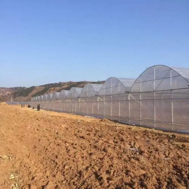 Manufactures Plastic Polytunnel Tomato Green house multi span Film Agriculture Low Cost Tunnel Greenhouse  For Sale Wholesale Factory Customization