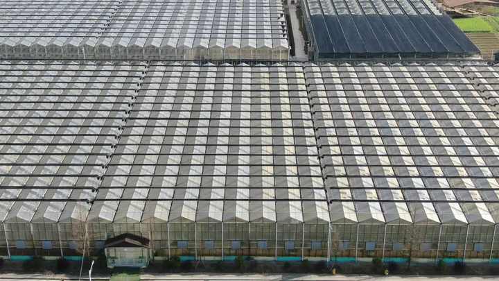 Modern All vegetable  Season Greenhouse Solarium Conservatory  Sun Room Glass greenhouse Garden Glass greenhouse Low-Cost Manufacturing Hub