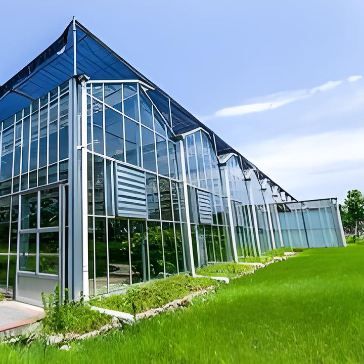 Modern All vegetable  Season Greenhouse Solarium Conservatory  Sun Room Glass greenhouse Garden Glass greenhouse Low-Cost Manufacturing Hub