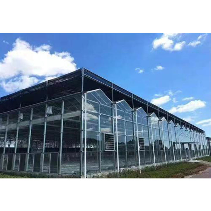 Modern Outdoor Sun Glass greenhouse  four season sunroom  aluminium Winter Garden Greenhouse Glass greenhouses Wholesale Distribution Center