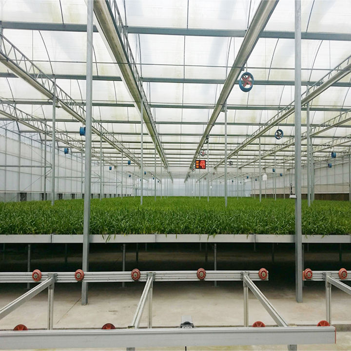 Modern Outdoor Sun Glass greenhouse  four season sunroom  aluminium Winter Garden Greenhouse Glass greenhouses Wholesale Distribution Center