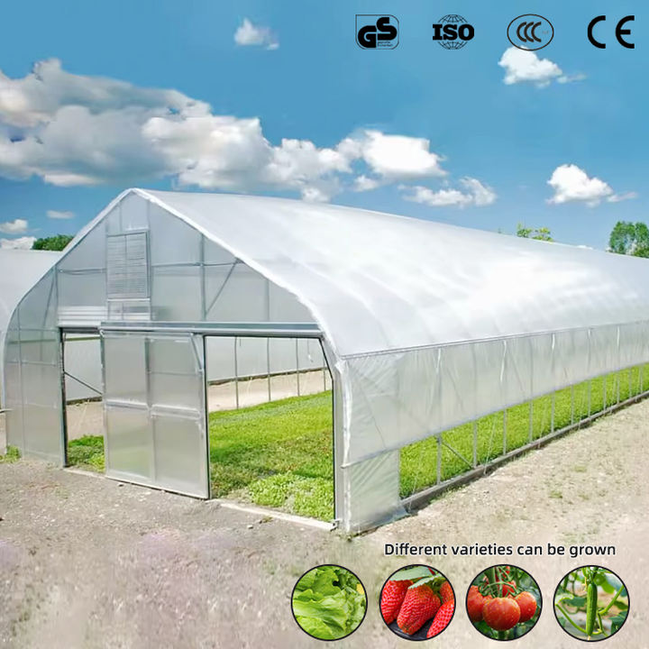 Modern agriculture vegetable garden greenhouse single plastic film tunnel commercial single span greenhouse Manufacturing Plant