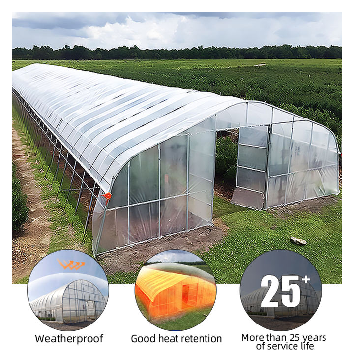 Modern agriculture vegetable garden greenhouse single plastic film tunnel commercial single span greenhouse Manufacturing Plant