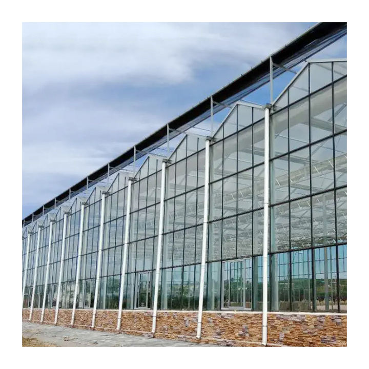 Modern venlo Polycarbonate Glass farming greenhouse Multi-Span Commercial pc sheet Greenhouses Prefab green house overall system B2B Factory Pricing Processing
