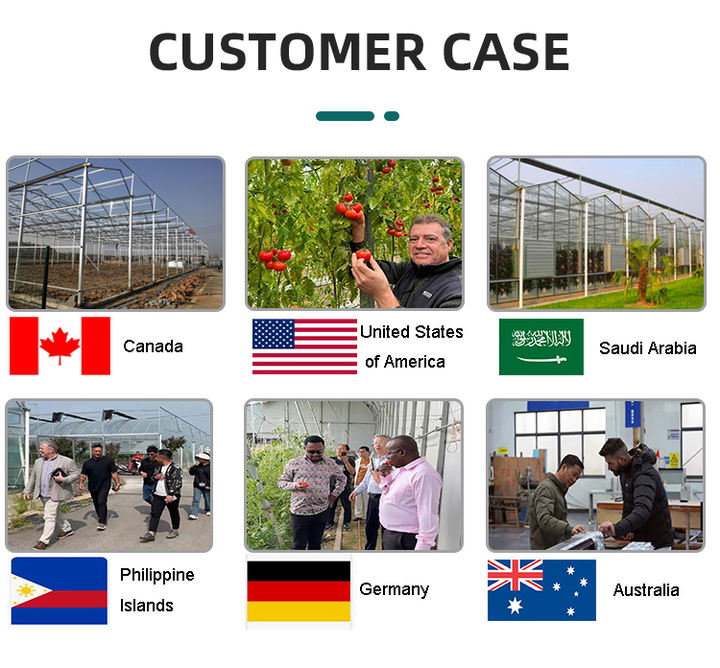 Multi-Span Commercial Glass Green House Frame Structure Planting Agricultural Polycarbonate Greenhouses For Sale Competitive Manufacturing Pricing