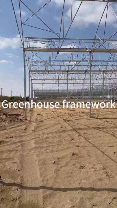 Multi Span  Film Agricultural Greenhouse vegetable farm growth house fruit planting multi span greenhouse Global Wholesale Market Operations