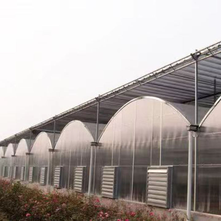 Multi Span  Film Agricultural Greenhouse vegetable farm growth house fruit planting multi span greenhouse Global Wholesale Market Operations