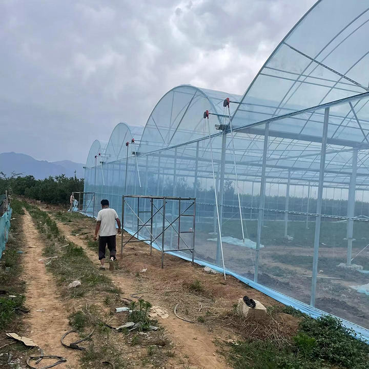 Multi Span  Film Agricultural Greenhouse vegetable farm growth house fruit planting multi span greenhouse Global Wholesale Market Operations